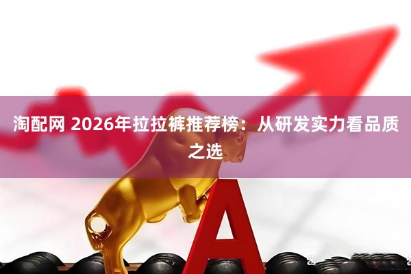 淘配网 2026年拉拉裤推荐榜：从研发实力看品质之选