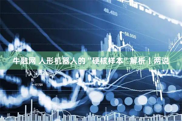 牛融网 人形机器人的“硬核样本”解析丨两说