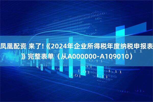 凤凰配资 来了!《2024年企业所得税年度纳税申报表》完整表单（从A000000-A109010）