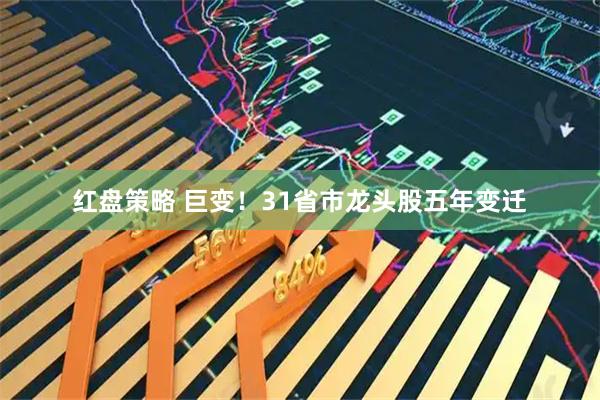 红盘策略 巨变！31省市龙头股五年变迁