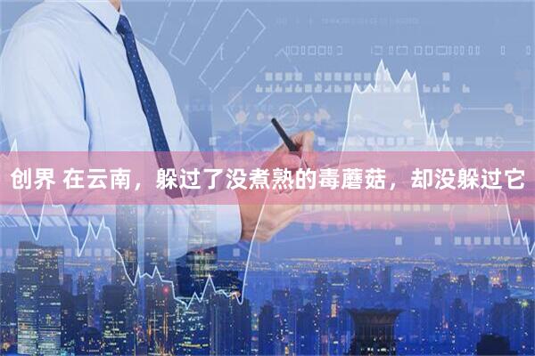 创界 在云南，躲过了没煮熟的毒蘑菇，却没躲过它