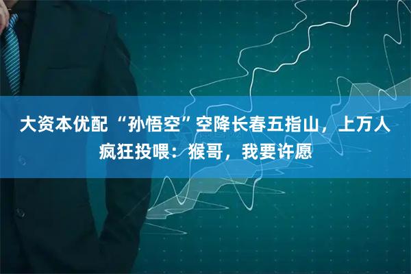 大资本优配 “孙悟空”空降长春五指山，上万人疯狂投喂：猴哥，我要许愿