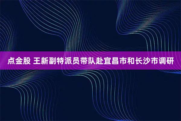 点金股 王新副特派员带队赴宜昌市和长沙市调研