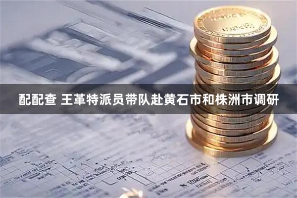 配配查 王革特派员带队赴黄石市和株洲市调研