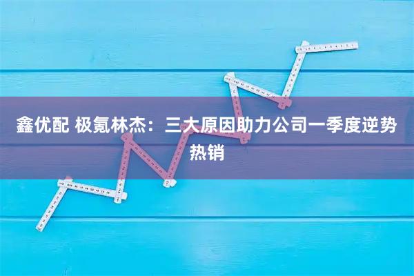鑫优配 极氪林杰：三大原因助力公司一季度逆势热销