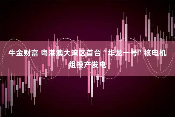 牛金财富 粤港澳大湾区首台“华龙一号”核电机组投产发电