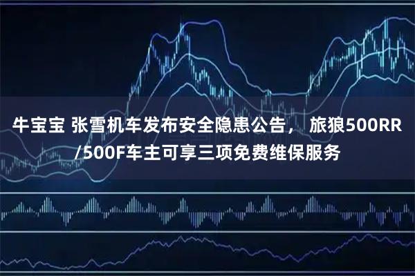 牛宝宝 张雪机车发布安全隐患公告， 旅狼500RR/500F车主可享三项免费维保服务