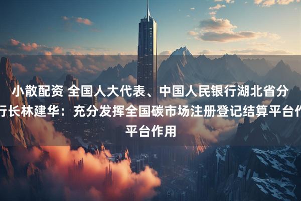 小散配资 全国人大代表、中国人民银行湖北省分行行长林建华：充分发挥全国碳市场注册登记结算平台作用