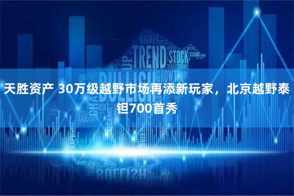 天胜资产 30万级越野市场再添新玩家，北京越野泰钽700首秀